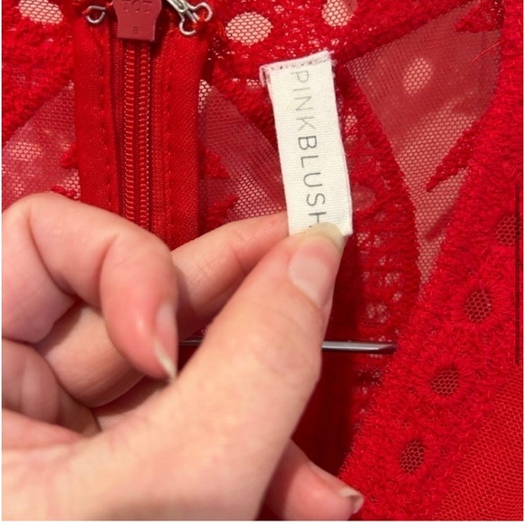 Pinkblush Red Lace Mesh Overlay Maxi Dress - Picture 7 of 10